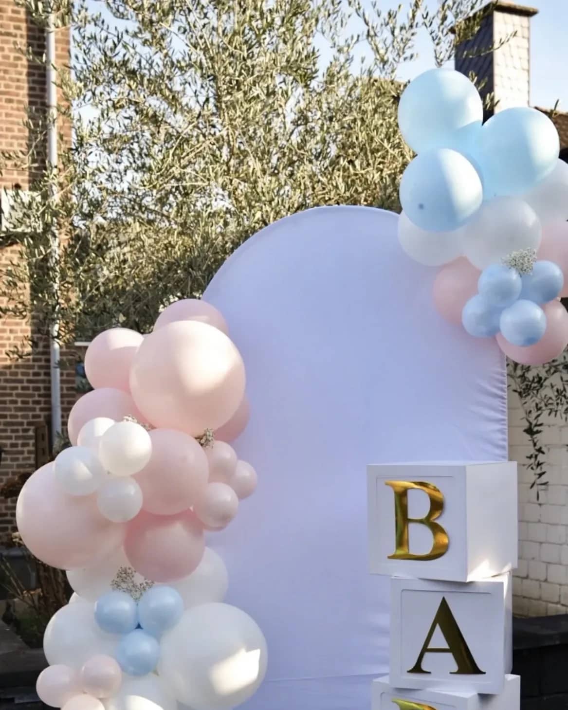 Ballongirlande Deluxe inkl. Backdrop (Bundle)