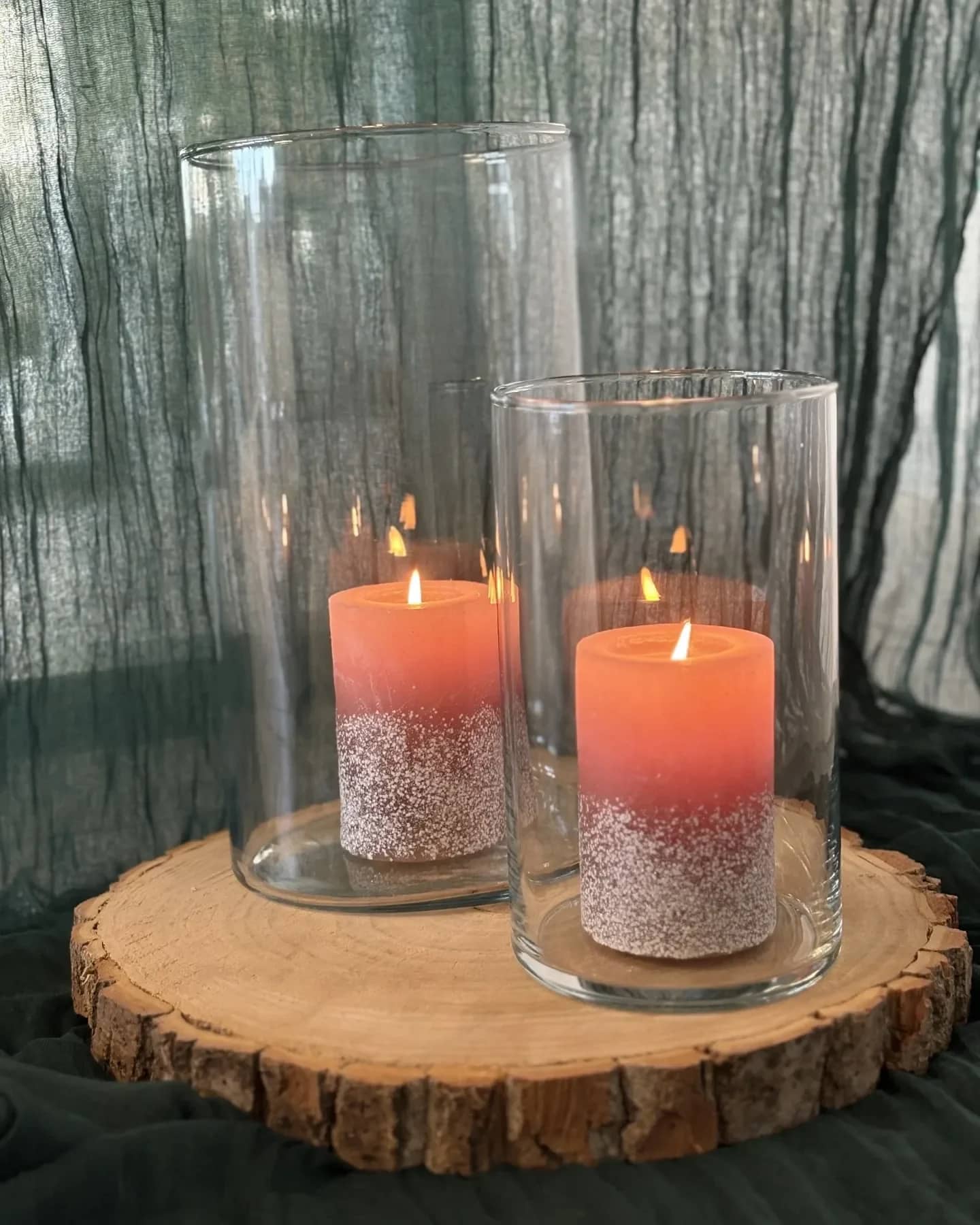 Holzsscheibe mit Rinde
